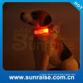 dog collar gps